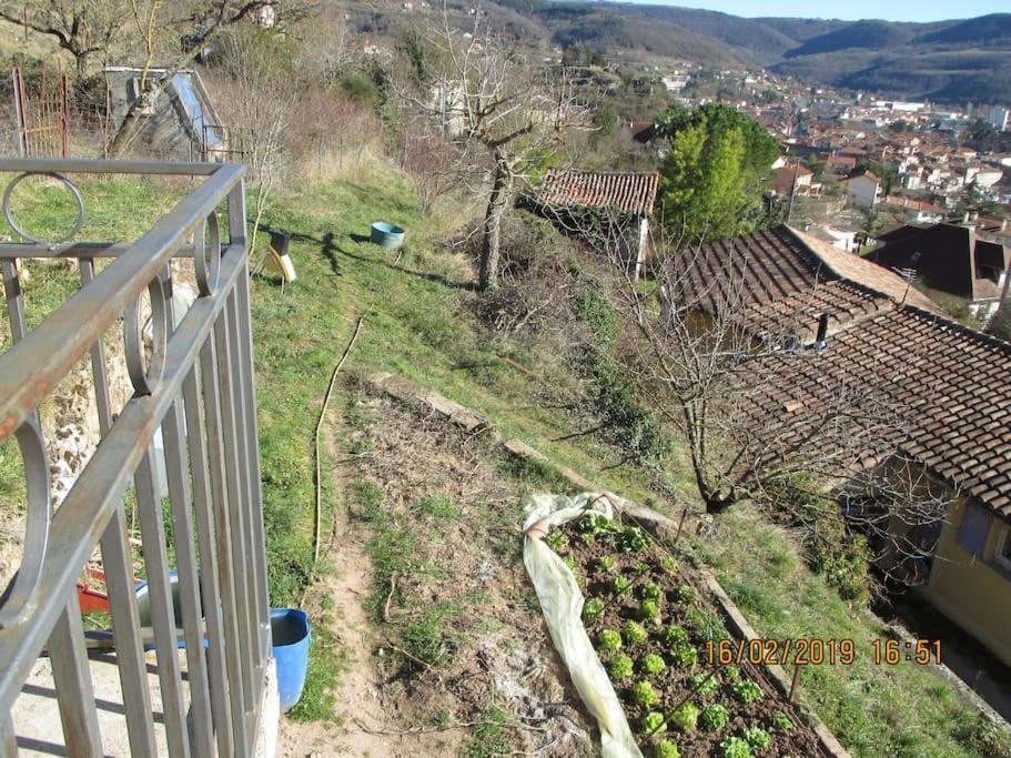 Maison De Vigne Renovee 생 아프리크 외부 사진